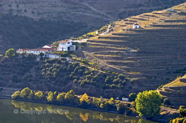 Baron Offley Forrester's new house, Douro Valley