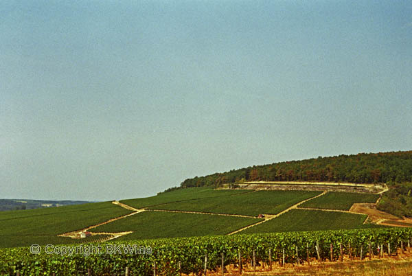 Chablis, Fourchaume premier cru vineyard