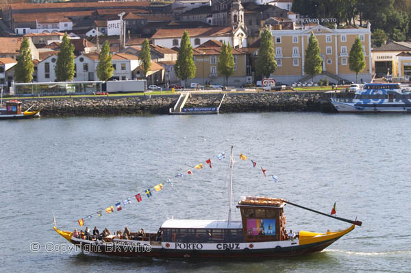 Boat on the Douro River, Vila nova de Gaia houses