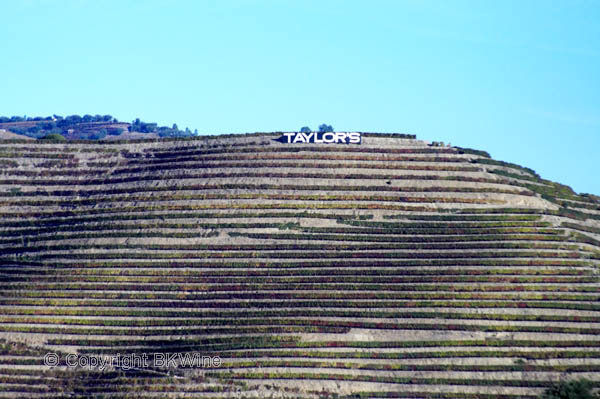 Vineyards with Taylor's sign, Douro Valley, Portugal