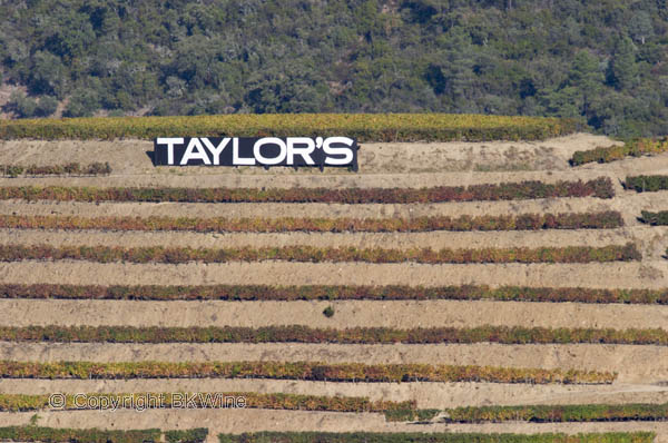 Vineyards with Taylor's sign, Douro Valley, Portugal