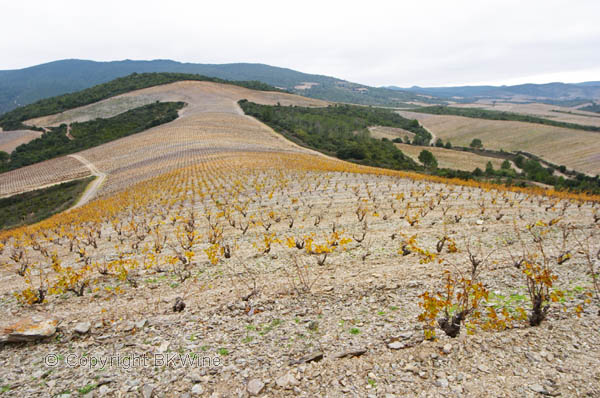 Chateau des Erles, Fitou, Languedoc