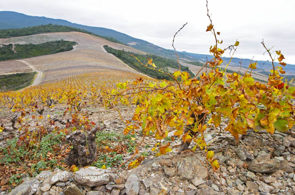 Chateau des Erles, Fitou, Languedoc