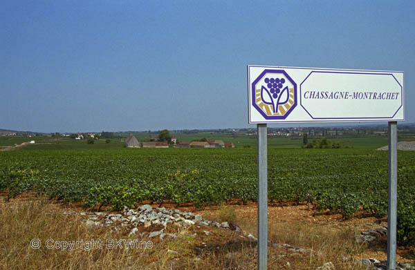 Sign indicating the start of the vineyard Chassagne-Montrachet