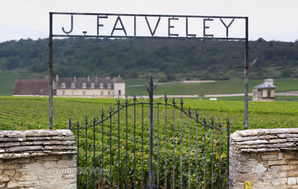 Vineyard, Domaine J Faiveley, Chateau du Clos de Vougeot