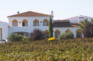 alentejo winery