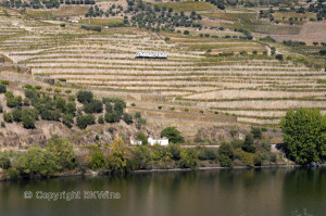 Douro river, vineyards, Alves de Sousa sign, Douro