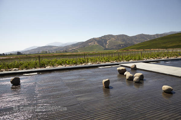 The water mirror at Vina Vik, Chile