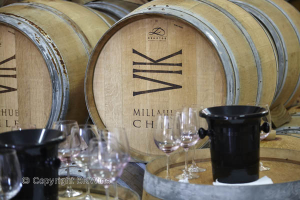 Tasting in the Vina Vik cellar