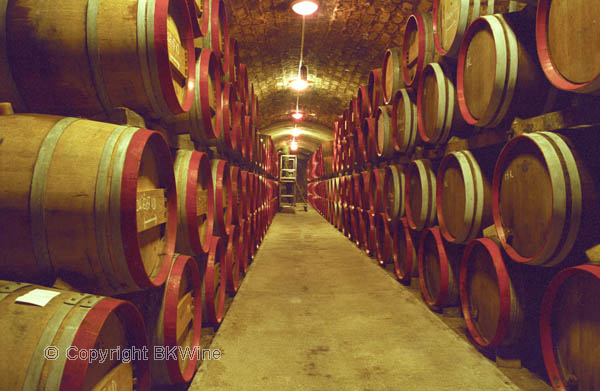 The Disznoko winery in Tokaj: In the underground cellar