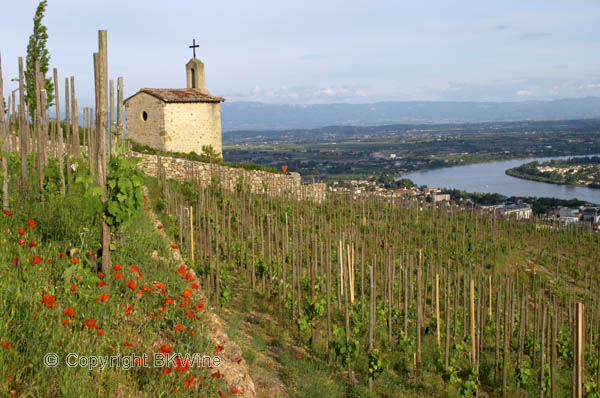 The La Chapelle chapel in vineyards in Hermitage, Rhone