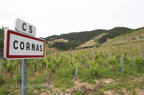 Cornas vineyards, Rhone