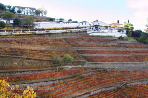 quinta do noval