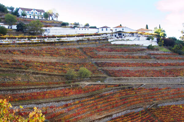 Quinta do Noval, Douro, Portugal