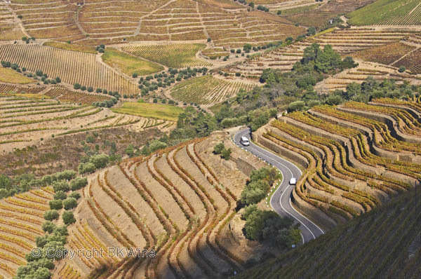 Vineyards and winding road at Quinta do Noval, Douro, Portugal