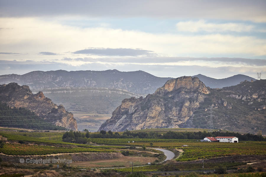 Landscape with vineyards in Rioja