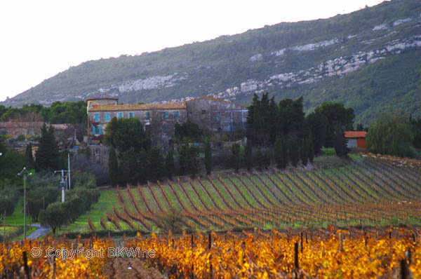 Chateau Pech-Latt, Corbieres, Languedoc