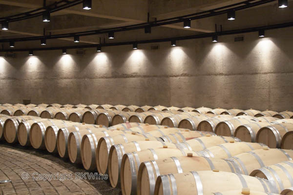 The barrel cellar at Catena Zapata