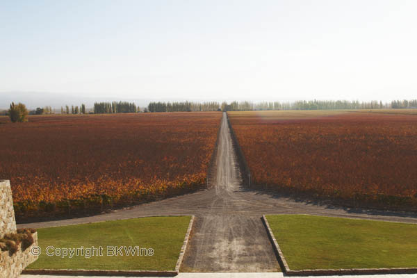 The vineyards at Catena Zapata in Mendoza