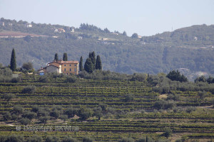 landscape in italy