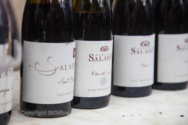 Domaine Saladin wines
