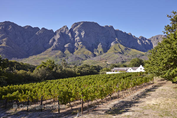 Boekenhoutskloof vineyards and winery