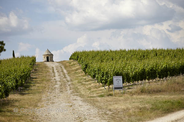 A vineyard in Cahors