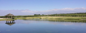 mendoza landscape with andes