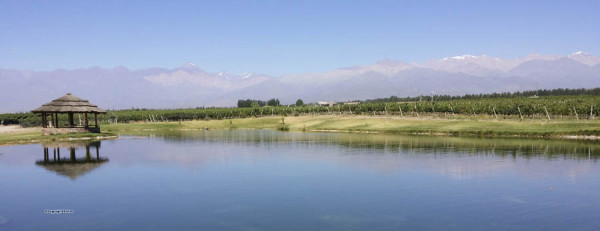 Domaine Bousquet, Mendoza, Argentina