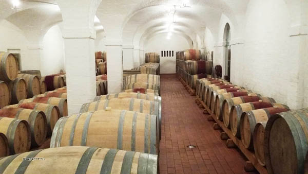 Klein Constantia barrel wine cellar