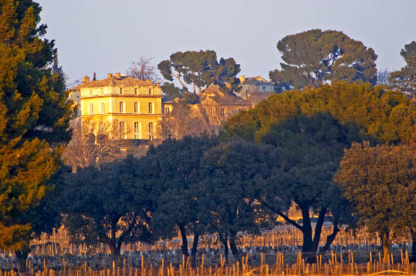 The vineyard and building of Chateau la Nerthe