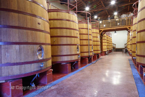 The vat cellar at Bodegas Roda in Rioja