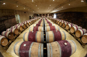 barrel cellar in rioja