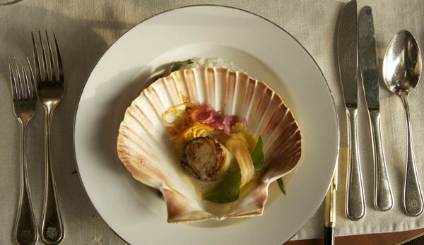 Scallops at Operakallaren