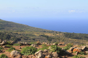 landscape on pantelleria