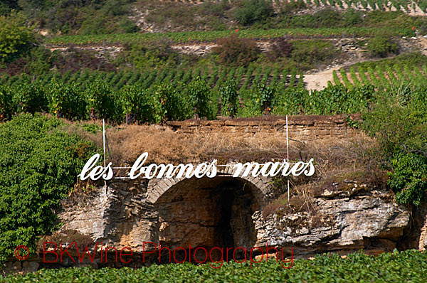 Les Bonnes Mares Chambolle Musigny, Burgundy
