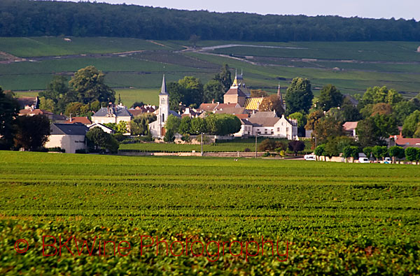 The Aloxe-Corton village in Burgundy