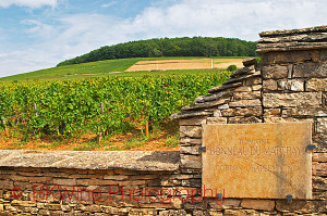 Domaine Bonneau du Martray Corton Charlemagne grand cru