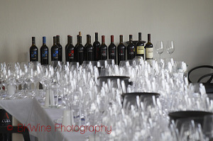 Wine tasting, wine glasses