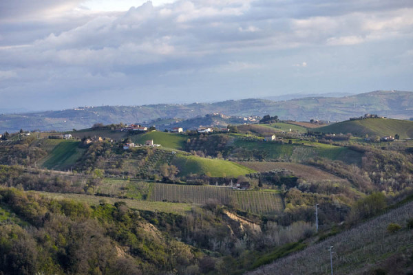 Le Marche landscape, lush green with rolling hills