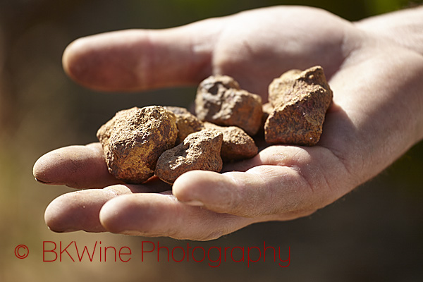 Fabien Jouves, Mas del Perié, holding Cahors soil