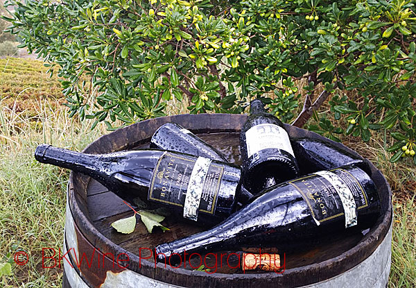 Bonavita bottles in the vineyard in Faro