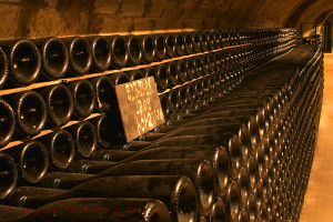 A Champagne cellar full of bottles