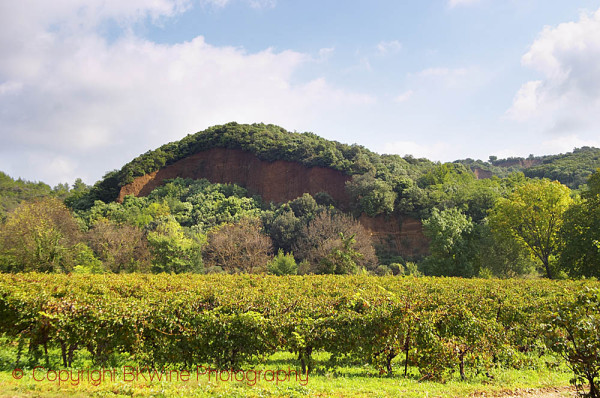 Domaine Borie la Vitarèle vineyards, Causses et Veyran, St Chinian, Languedoc