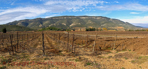 Domaine Bertrand-Berge, Paziols, Fitou, Languedoc