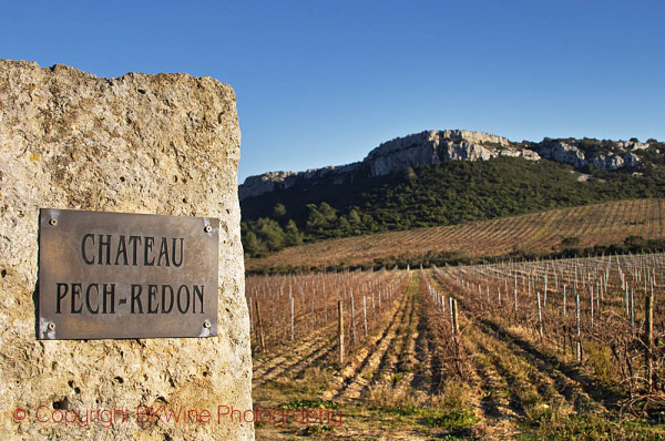 Chateau Pech-Redon, La Clape, Languedoc