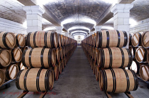 wine cellar in bordeaux