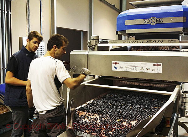 Le Cube-Viniclean destemmer and sorter at Chateau de France