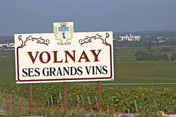 Vineyard in Volnay, Burgundy