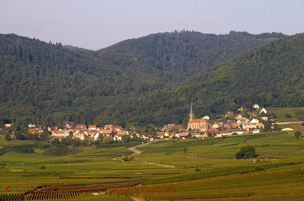 Vineyards around Hussern les Chateaux, Eguisheim, Alsace